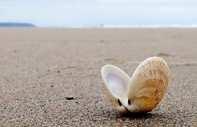 déco plage